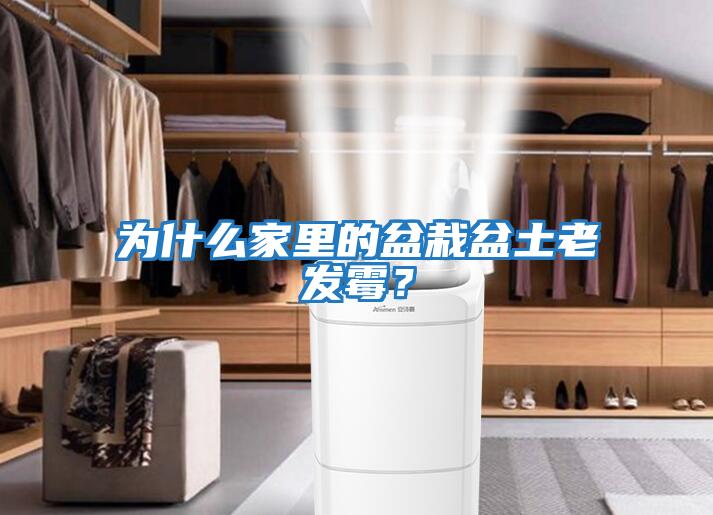 為什么家里的盆栽盆土老發(fā)霉？