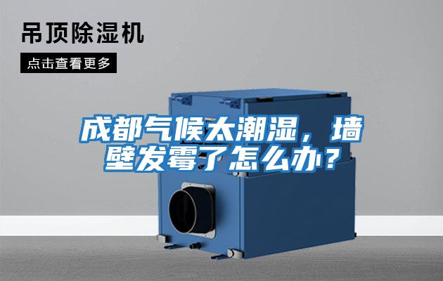 成都氣候太潮濕,墻壁發霉了怎么辦?