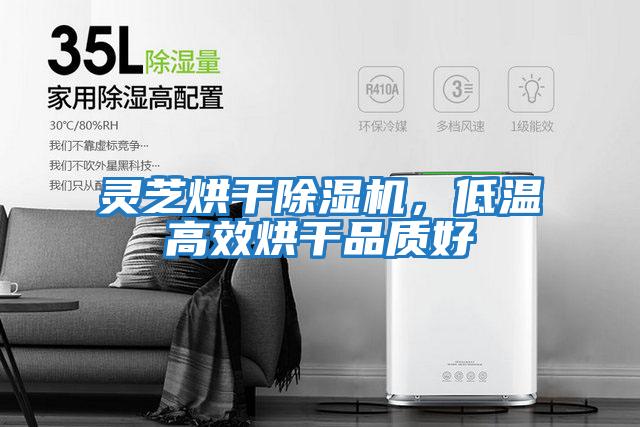 靈芝烘干除濕機，低溫高效烘干品質好