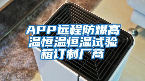 APP遠(yuǎn)程防爆高溫恒溫恒濕試驗箱訂制廠商