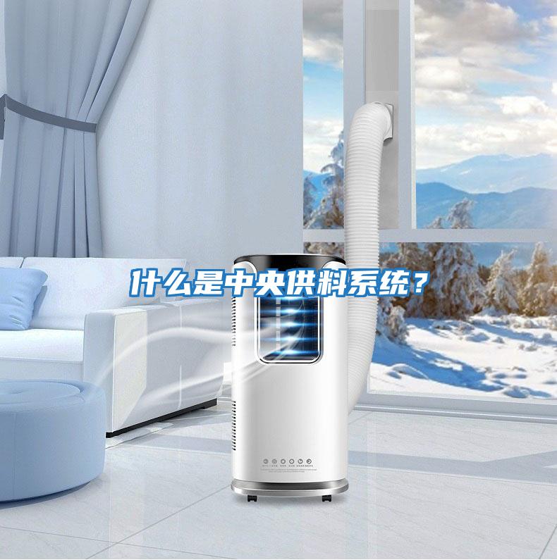 什么是中央供料系統？