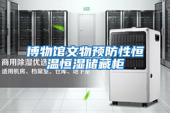 博物館文物預防性恒溫恒濕儲藏柜