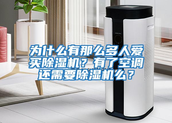 為什么有那么多人愛買除濕機？有了空調還需要除濕機么？