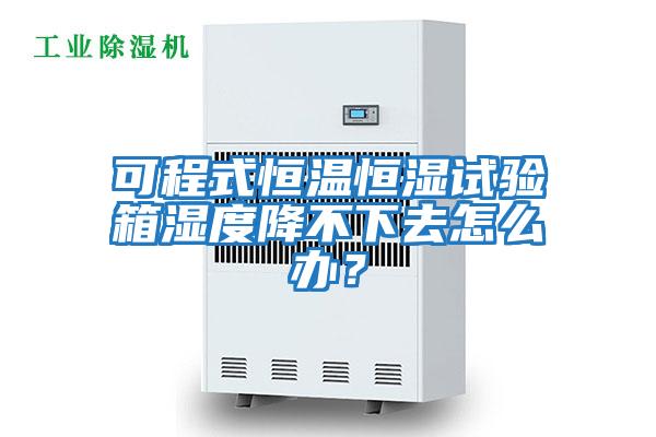 可程式恒溫恒濕試驗箱濕度降不下去怎么辦?