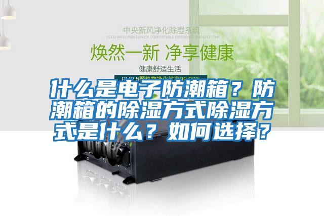 什么是電子防潮箱？防潮箱的除濕方式除濕方式是什么？如何選擇？