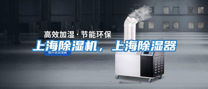 上海除濕機(jī)，上海除濕器