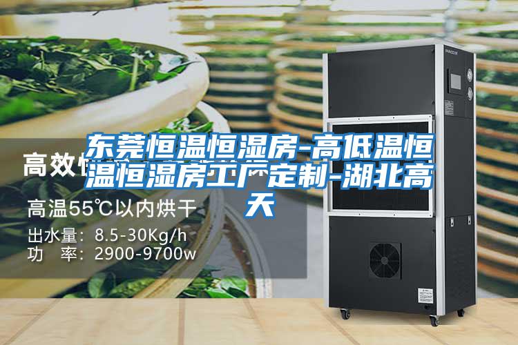 東莞恒溫恒濕房-高低溫恒溫恒濕房工廠(chǎng)定制-湖北高天