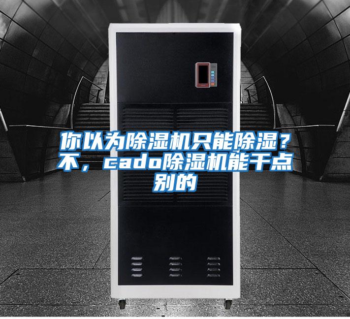 你以為除濕機只能除濕？不，cado除濕機能干點別的