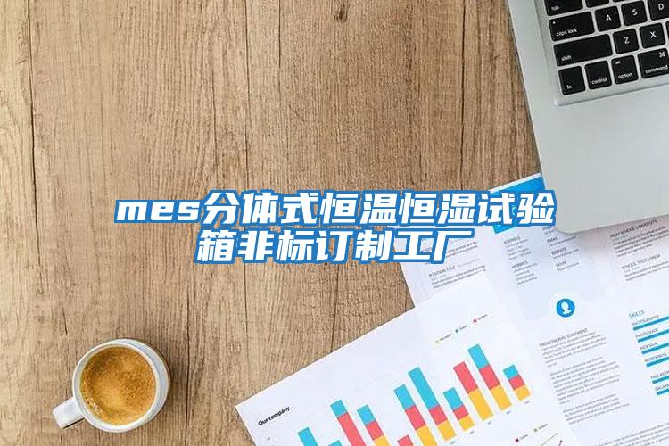 mes分體式恒溫恒濕試驗箱非標(biāo)訂制工廠