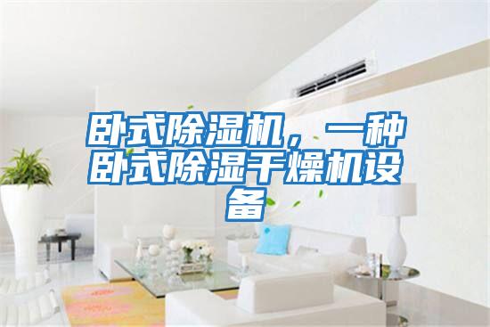 臥式除濕機，一種臥式除濕干燥機設(shè)備