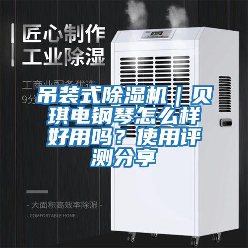 吊裝式除濕機(jī)｜貝琪電鋼琴怎么樣好用嗎？使用評(píng)測(cè)分享
