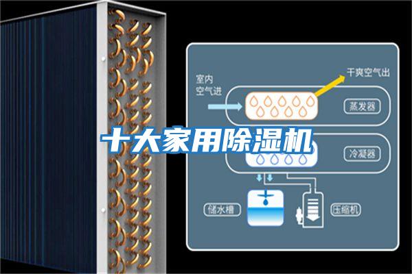 十大家用除濕機(jī)