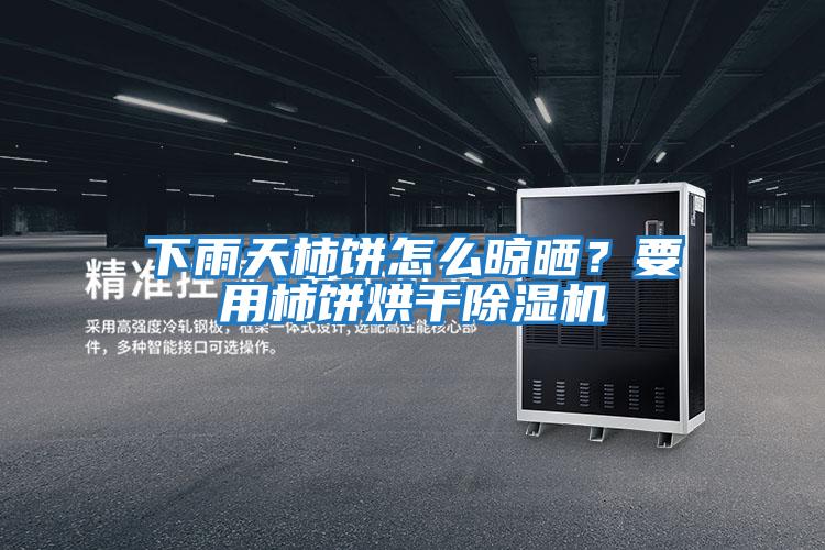 下雨天柿餅怎么晾曬？要用柿餅烘干除濕機