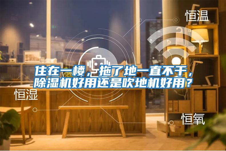 住在一樓，拖了地一直不干，除濕機好用還是吹地機好用？