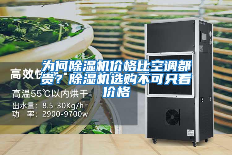 為何除濕機價格比空調都貴？除濕機選購不可只看價格