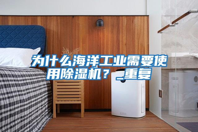為什么海洋工業(yè)需要使用除濕機？_重復(fù)