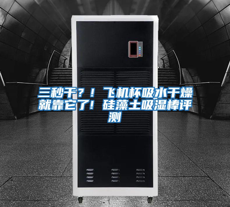 三秒干？! 飛機杯吸水干燥就靠它了! 硅藻土吸濕棒評測