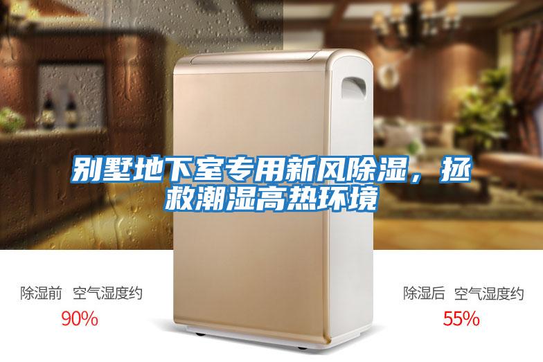別墅地下室專用新風(fēng)除濕,拯救潮濕高熱環(huán)境