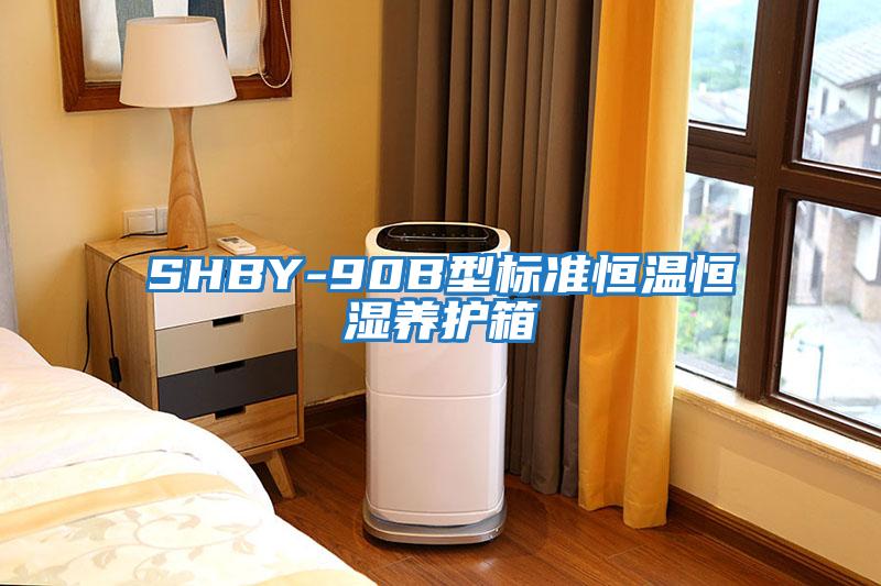 SHBY-90B型標準恒溫恒濕養護箱