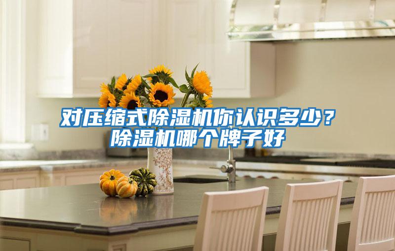 對(duì)壓縮式除濕機(jī)你認(rèn)識(shí)多少？除濕機(jī)哪個(gè)牌子好