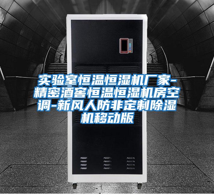 實驗室恒溫恒濕機廠家-精密酒窖恒溫恒濕機房空調-新風人防非定制除濕機移動版