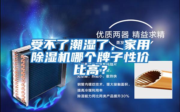 受不了潮濕了，家用除濕機哪個牌子性價比高？