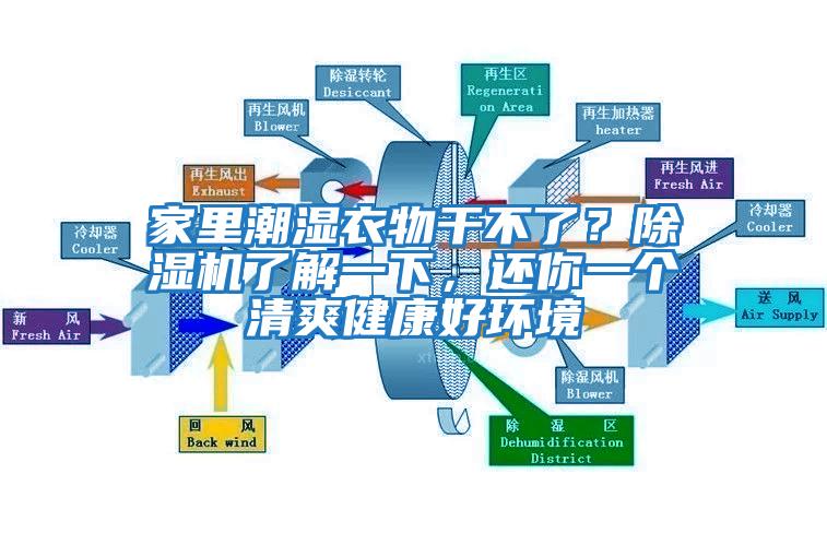 家里潮濕衣物干不了?除濕機了解一下,還你一個清爽健康好環(huán)境