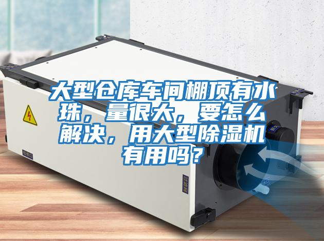 大型倉庫車間棚頂有水珠，量很大，要怎么解決，用大型除濕機有用嗎？