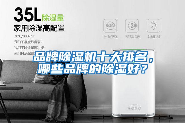 品牌除濕機(jī)十大排名，哪些品牌的除濕好？