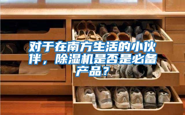 對(duì)于在南方生活的小伙伴，除濕機(jī)是否是必備產(chǎn)品？