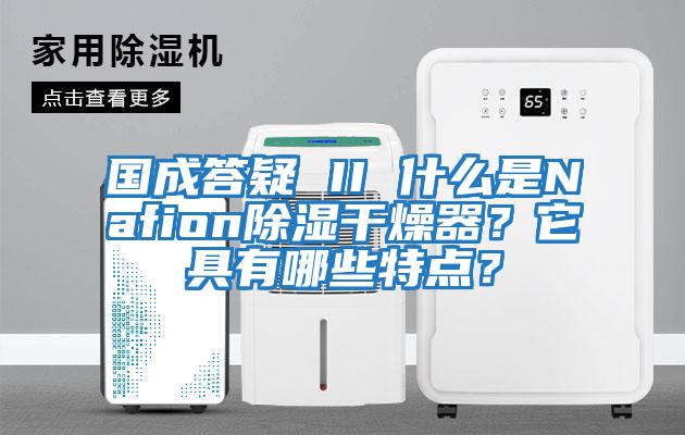 國成答疑 II 什么是Nafion除濕干燥器？它具有哪些特點？
