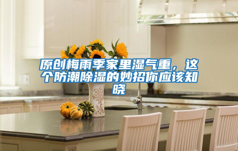 原創梅雨季家里濕氣重，這個防潮除濕的妙招你應該知曉