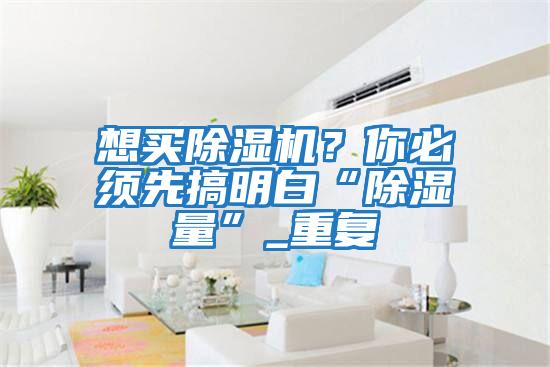 想買除濕機?你必須先搞明白“除濕量”_重復(fù)