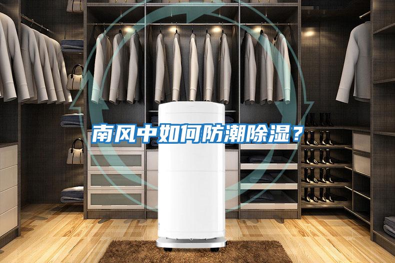 南風中如何防潮除濕？