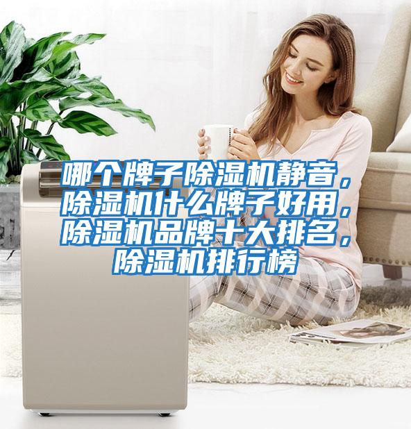 哪個牌子除濕機靜音，除濕機什么牌子好用，除濕機品牌十大排名，除濕機排行榜