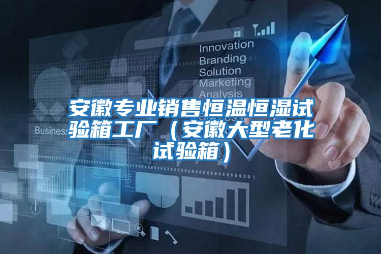 安徽專業(yè)銷售恒溫恒濕試驗(yàn)箱工廠(安徽大型老化試驗(yàn)箱)