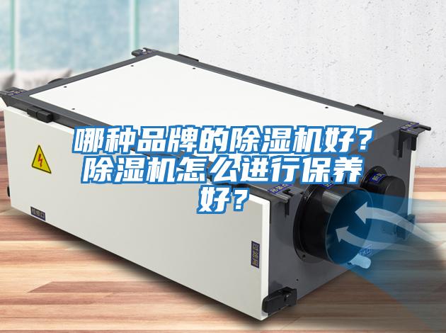 哪種品牌的除濕機好？除濕機怎么進行保養(yǎng)好？