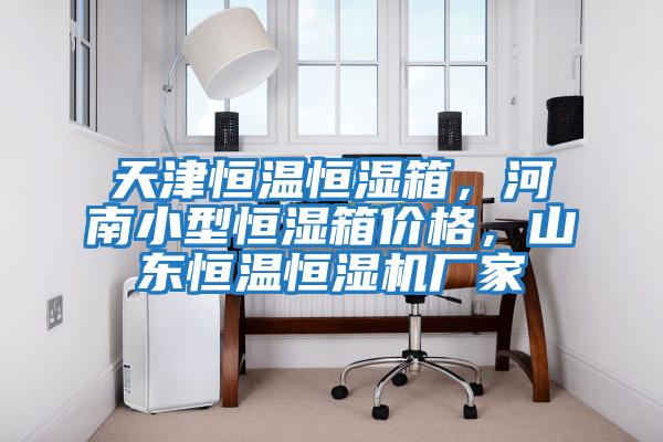 天津恒溫恒濕箱,河南小型恒濕箱價格,山東恒溫恒濕機廠家