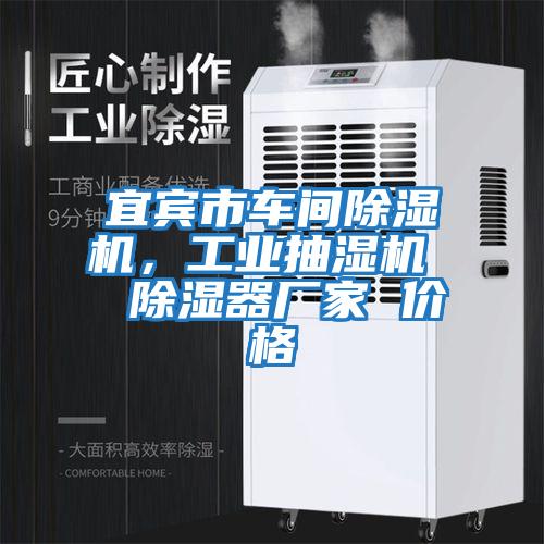 宜賓市車間除濕機，工業抽濕機  除濕器廠家 價格