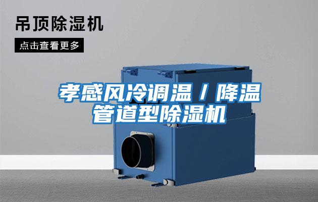 孝感風冷調溫/降溫管道型除濕機