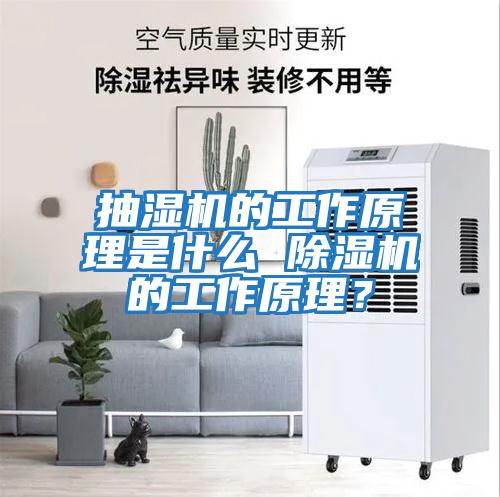 抽濕機的工作原理是什么 除濕機的工作原理？