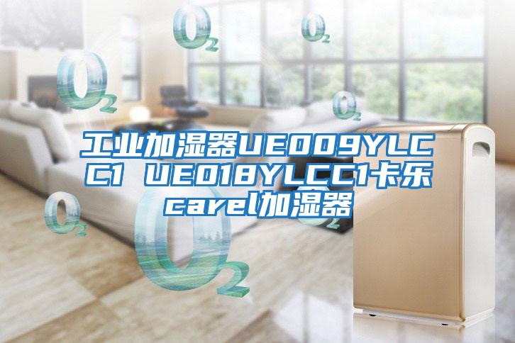 工業加濕器UE009YLCC1 UE018YLCC1卡樂carel加濕器