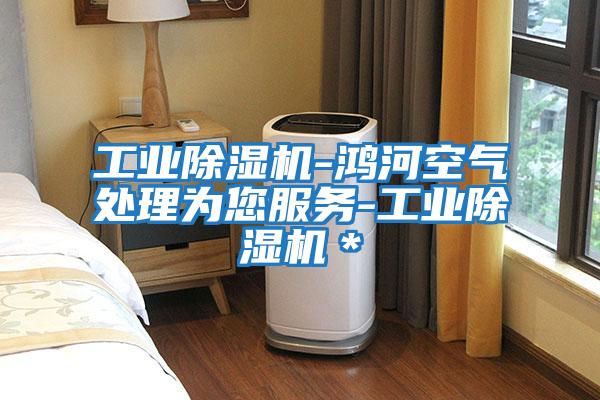工業除濕機-鴻河空氣處理為您服務-工業除濕機＊