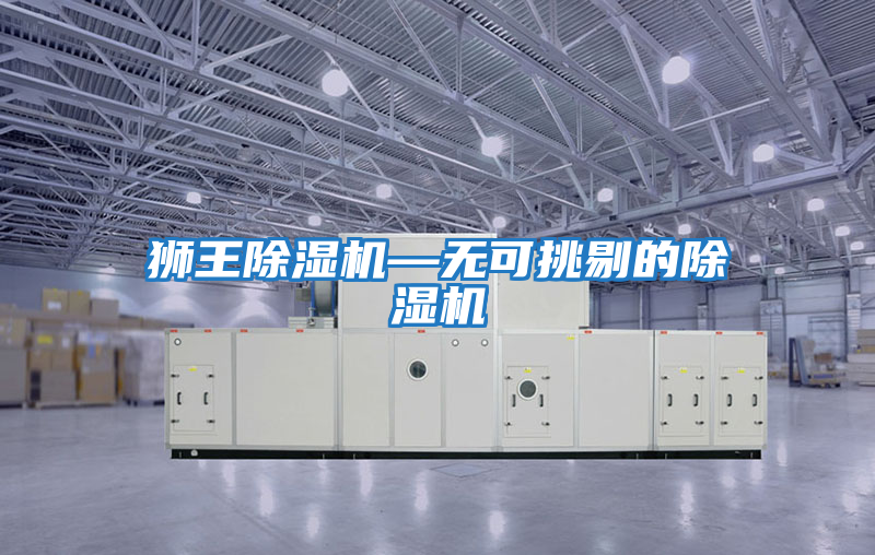 獅王除濕機(jī)—無(wú)可挑剔的除濕機(jī)