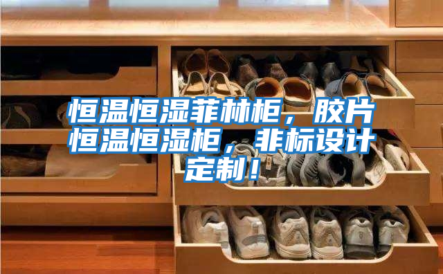 恒溫恒濕菲林柜，膠片恒溫恒濕柜，非標設計定制！