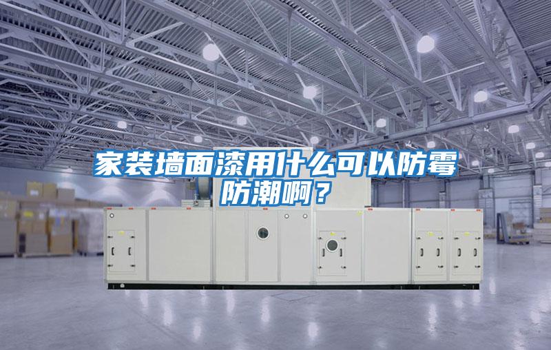 家裝墻面漆用什么可以防霉防潮啊?