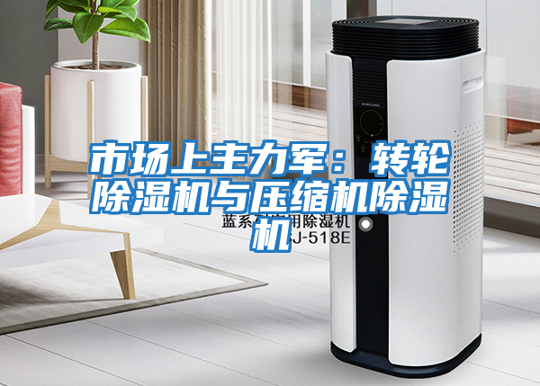 市場上主力軍:轉輪除濕機與壓縮機除濕機