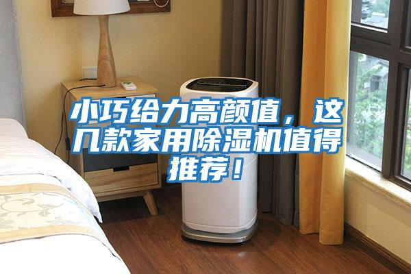 小巧給力高顏值，這幾款家用除濕機值得推薦！