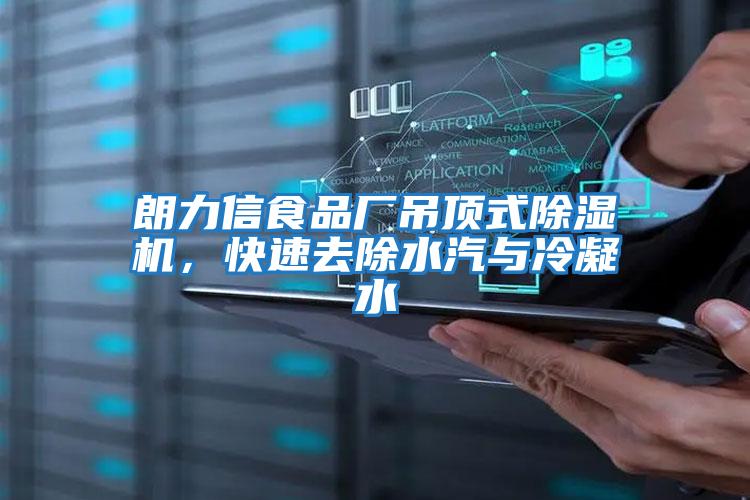 朗力信食品廠吊頂式除濕機(jī)，快速去除水汽與冷凝水