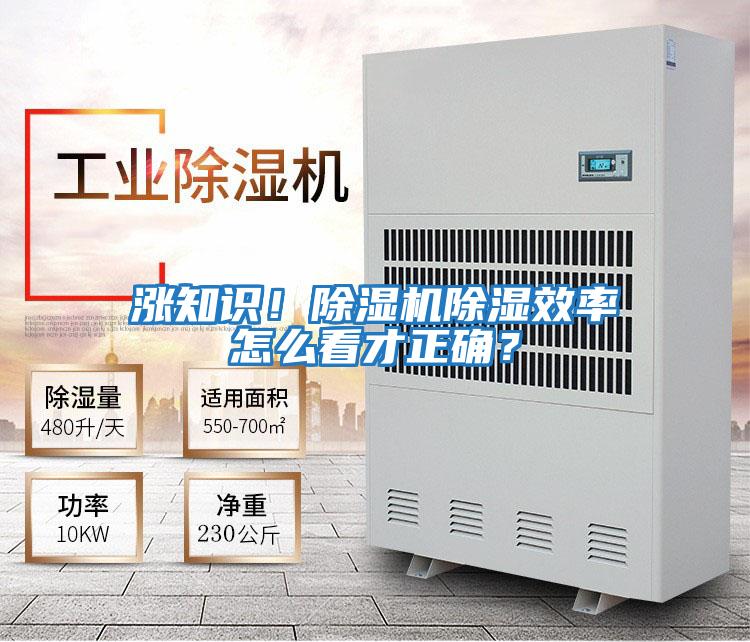漲知識！除濕機除濕效率怎么看才正確？